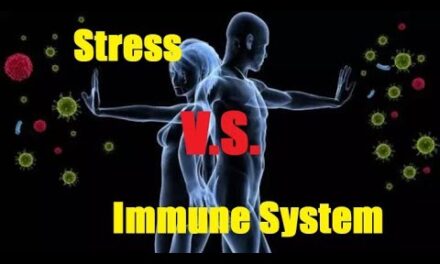 Stress και κορτιζόλη, ανοσοποιητικό σύστημα και βλαστοκύτταρα*