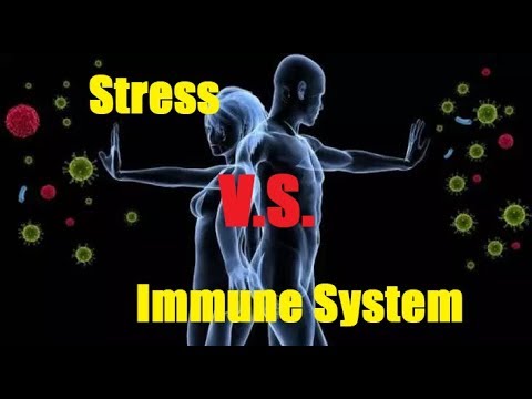 Stress και κορτιζόλη, ανοσοποιητικό σύστημα και βλαστοκύτταρα*