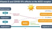 Ο ρόλος της βιταμίνης  D κατά της λοίμωξης από COVID-19 *